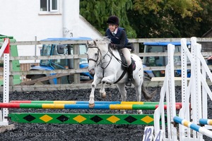 Class 2 -  Fences not above 2'